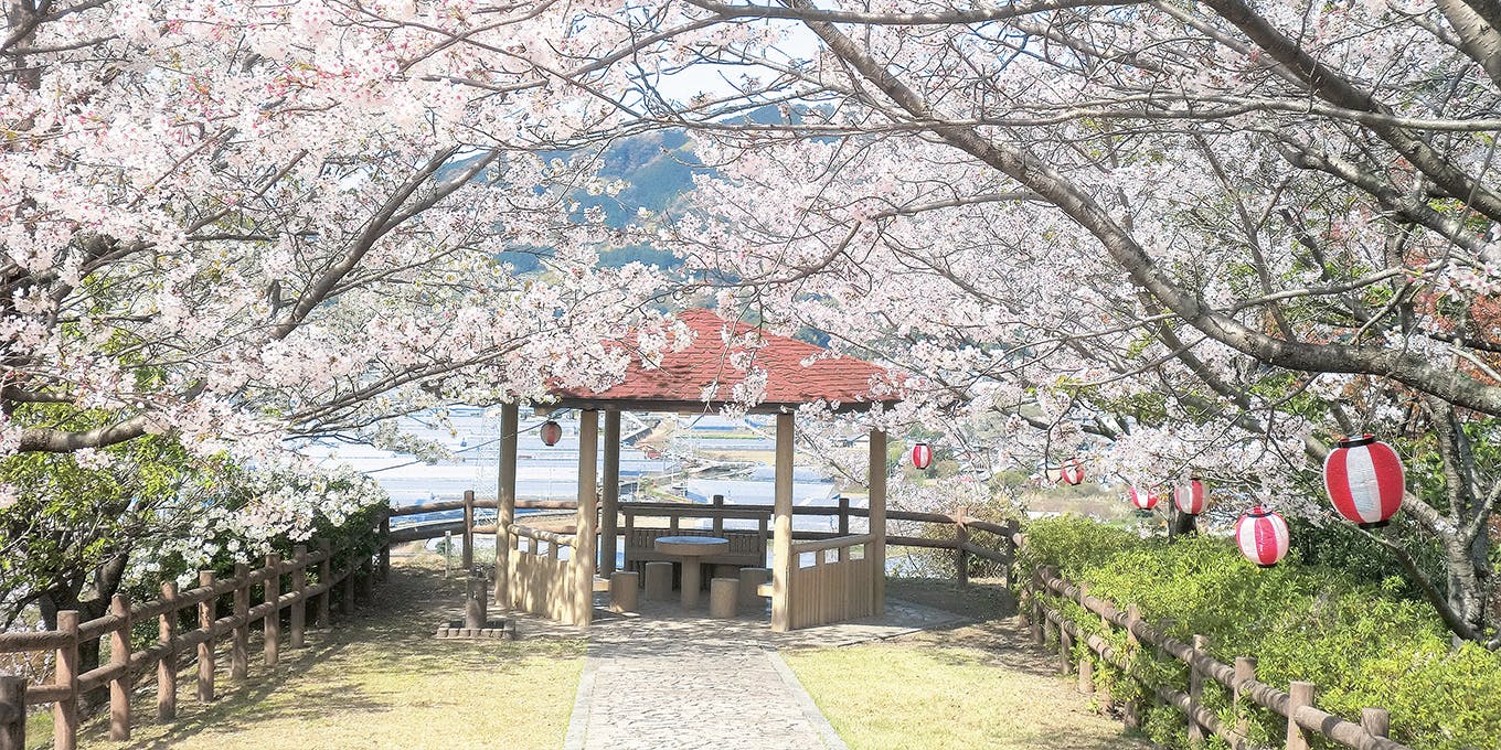 高知県芸西村のご紹介｜ふるさと納税 [一休.comふるさと納税]