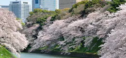 東京都千代田区